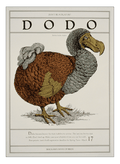 Dodo