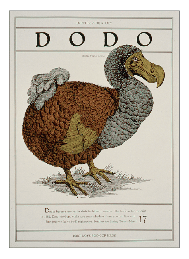 Dodo