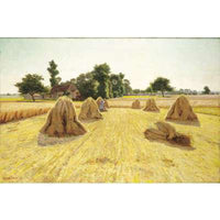 Grain Fields
