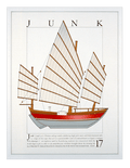 Junk